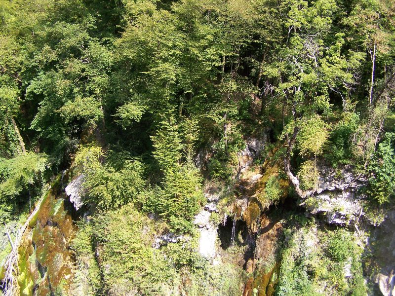 gal/Vacances/Les_Cascades_du_Loup/Grasse2007 155.jpg